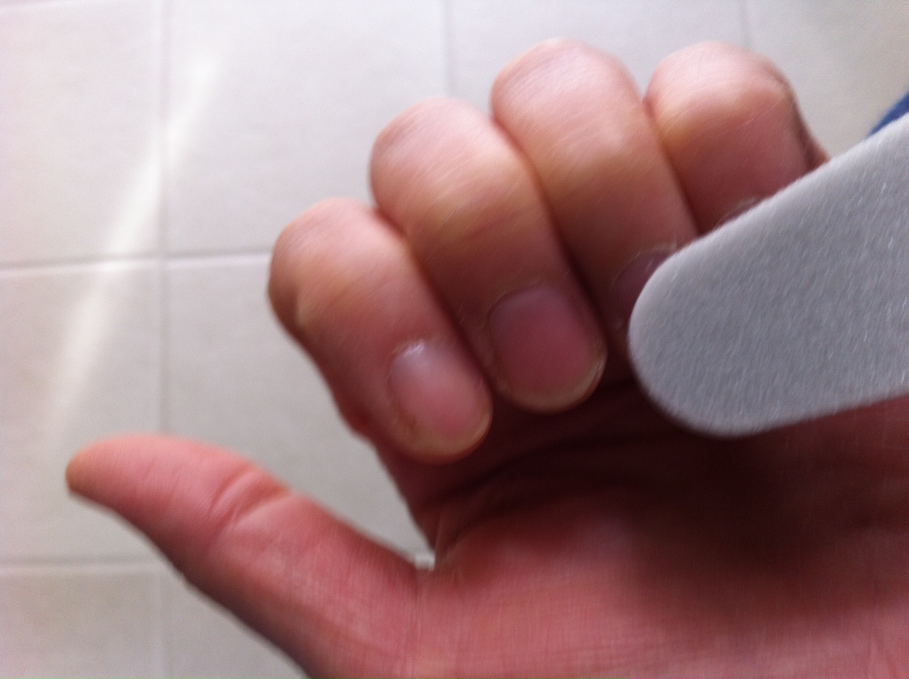 �l�C���̉�����